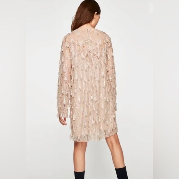 ZARA BLUSH SEQUIN FRINGE DRESS - Picture 7 of 8